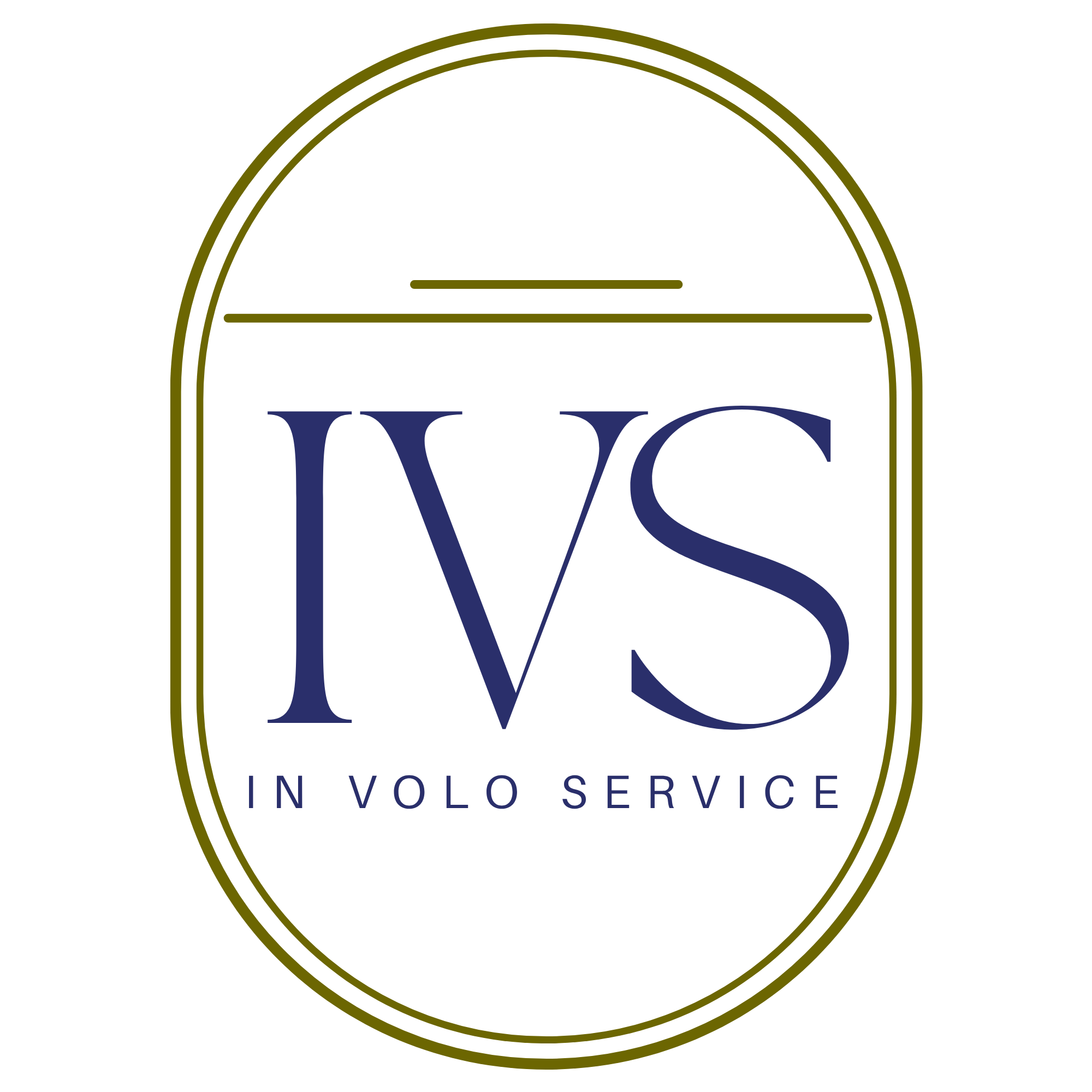 In Volo Service